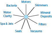 Pool 9–point inspection